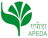 apeda logo